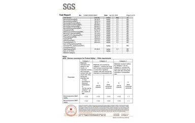 環(huán)保測(cè)試報(bào)告 ROHS+鹵素 CANEC25009106001