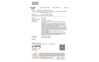 環保測試報告 SVHC CANEC25009119801